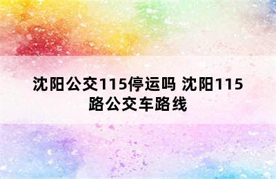 沈阳公交115停运吗 沈阳115路公交车路线